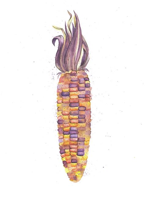 Corn Watercolor at PaintingValley.com | Explore collection of Corn ...