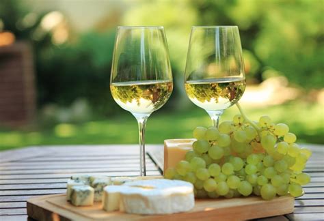 Tìm hiểu các loại rượu vang trứ danh trên thế giới Wine Connection