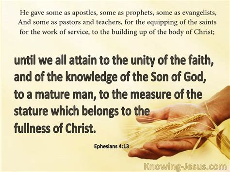 Ephesians The Unity Of The Faith Yellow