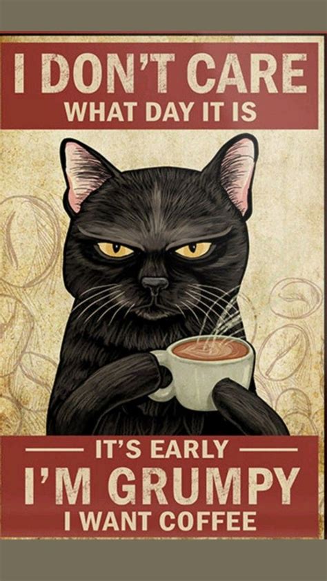 Cat posters - amazing funny posters with cats 😻🐈 | Cat posters, Halloween painting, Cat art