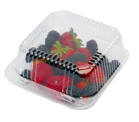 eHomeA2Z 125 Pack Food Containers Clear with Lids Hinged Take Out Clam Shells to Go Plastic (125 ...