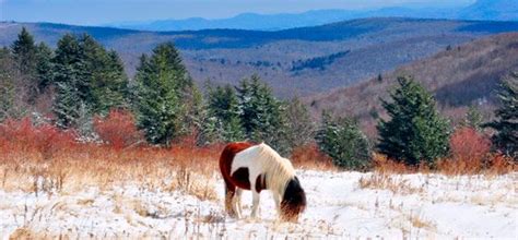 Grayson Highlands State Park Grayson Highlands State Parks