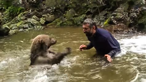 This Mama Bear Pleads To Man To Help Save Her Drowning Cubs Youtube