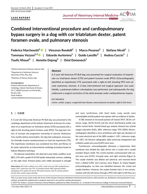 Pdf Combined Interventional Procedure And Cardiopulmonary Bypass