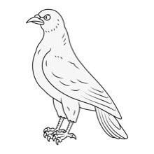 Pigeon Traceable Heraldic Art