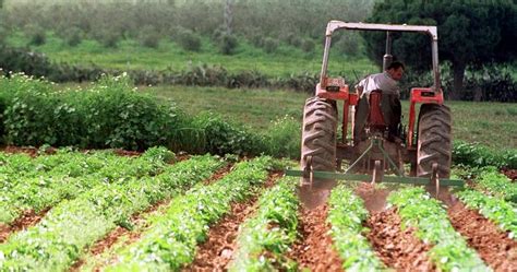 La Superficie De Agricultura Ecol Gica En Espa A Aumenta Un En