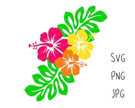 Tropical Hibiscus Flowers Svg Png  Digital Cut Files Etsy