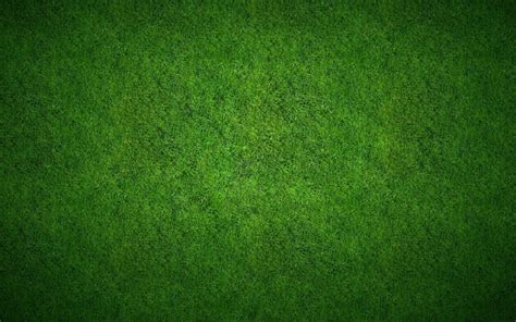 Lawn Wallpapers Top Free Lawn Backgrounds Wallpaperaccess