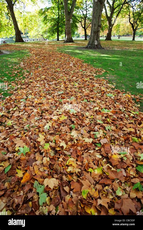 England, London, St.James Park, Autumn Leaves Stock Photo - Alamy