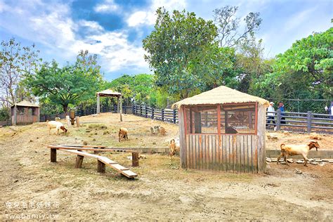 高雄壽山動物園｜全新天空步道、觀察廊道、小火車，獼猴陪吃體驗太難忘 兔兒毛毛姊妹花