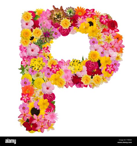 Letter P Alphabet With Flower ABC Concept Type As Logo Isolated On