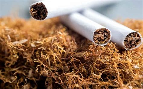 Tarif Cukai Hasil Tembakau CHT Rokok Naik 10 Tahun Depan Ruangmaya Id