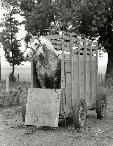 20 Old Horse Trailers Images Horse Trailers Horse Trailer Vintage