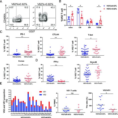 T Cell Intrinsic Characters Determine Their Expansion Capacity A