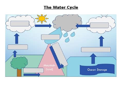 Water Cycle Worksheet For Grade 1