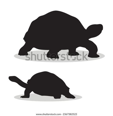 Aldabra Giant Tortoise Silhouetten Und Symbole Stock Vektorgrafik