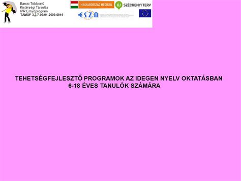 TEHETSÉGFEJLESZTŐ PROGRAMOK AZ IDEGEN NYELV OKTATÁSBAN ppt letölteni