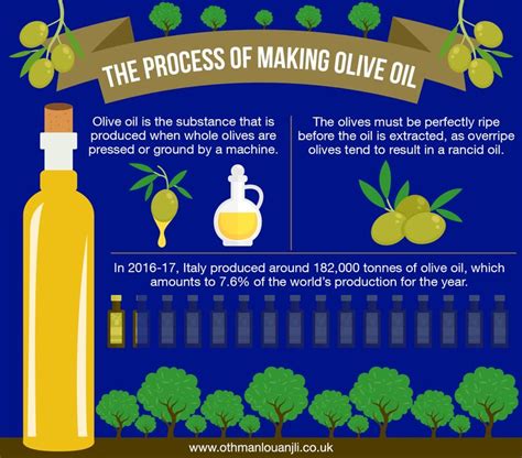 The Process Of Making Olive Oil