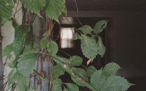 2000s NOSTALGIA on Tumblr