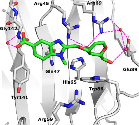 Representative Molecular Dynamics Simulation Snapshot Of 6b In Green