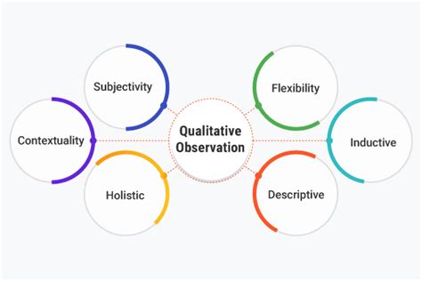 Quest Ce Que Lobservation Qualitative Définition Types Exemples