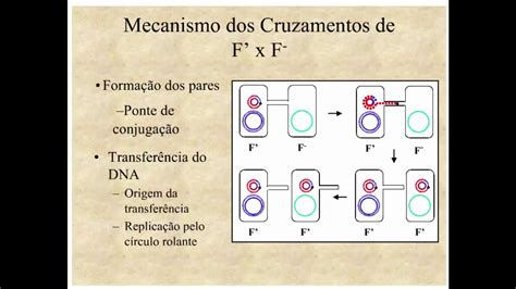 Aprenda Plugado Bacteriologia Aula Slide Mecanismos Dos