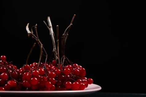 Premium Photo A Bunch Of Ripe Viburnum Berries On A Black Background