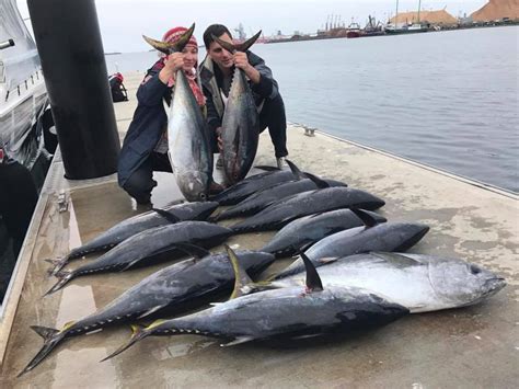 Fishing Report Spectacular Kingfish Season Portland Tuna