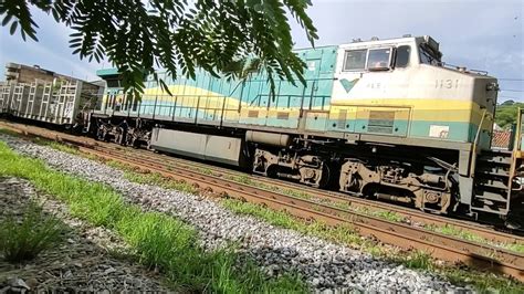 Trem Cargueiro De Eucalipto Subindo Vazio Passando Em Frente A Esta O