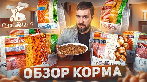 НОВИНКА! Сухой корм Canegatto для кошек и для собак | ОБЗОР КОРМА - YouTube