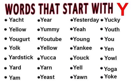 Learn Vocabulary Words That Start With Y