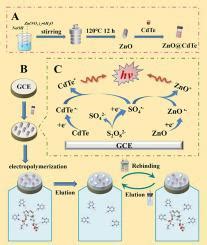 A Molecularly Imprinted Electrochemiluminescence Sensor Based On Zno