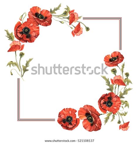 Wildflower Poppy Flower Frame Watercolor Style Stock Illustration