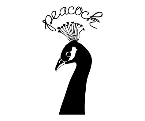 Black And White Peacock Logo 15772752 Vector Art At Vecteezy