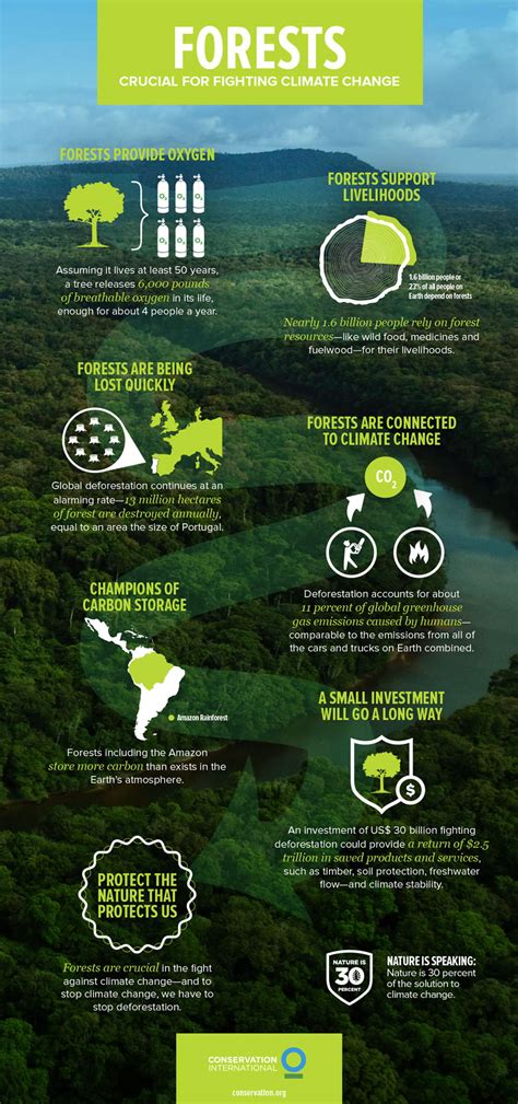 Infografis Peran Hutan Melawan Perubahan Iklim