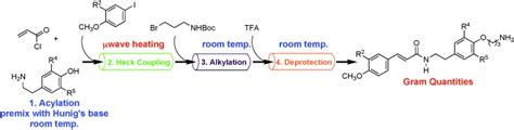 The Development of a General Strategy for the Synthesis of Tyramine ...