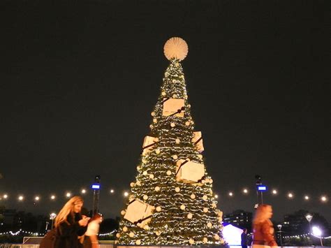 Fabulously Festive Photos Of London's Glowing Christmas Trees | Londonist