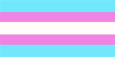 Pixilart Trans Flag But By Catariia