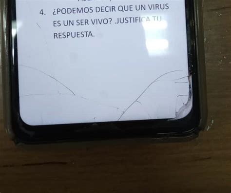 Ayuda Lo Tengo Que Entregar En 20 Minutos Brainly Lat