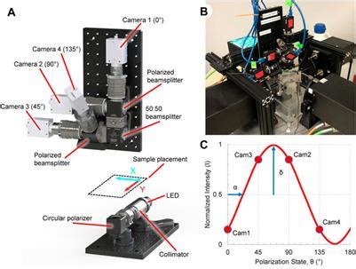 Frontiers Single Shot Quantitative Polarized Light Imaging System For