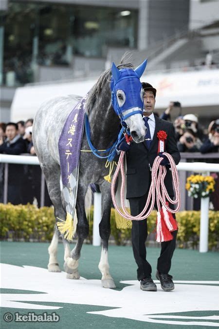 【東海s】新ダート王へ威風堂々 テイエムジンソクが圧巻の逃げ切りv！ 競馬ニュース 競馬ラボ