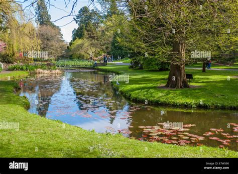 Dublin Ireland Apr Beautiful Lake In The National Botanic