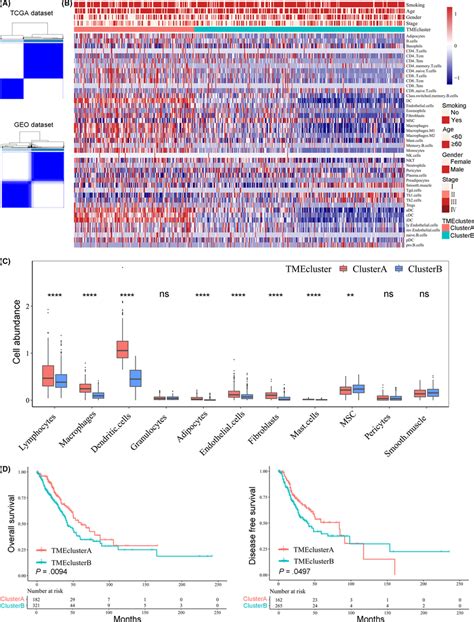 Identification Of 2 Tumor Microenvironment Tme Subtypes In Lung Download Scientific Diagram