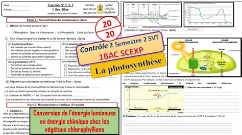 1BAC Contrôle 2 S2 La photosynthèse conversion de l énergie lumineuse