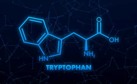 L-tryptophan and its effects on the body. Does it help with mood and ...