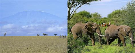 Trip Ideas For Lake Naivasha In Kenya - AfricanMecca Safaris