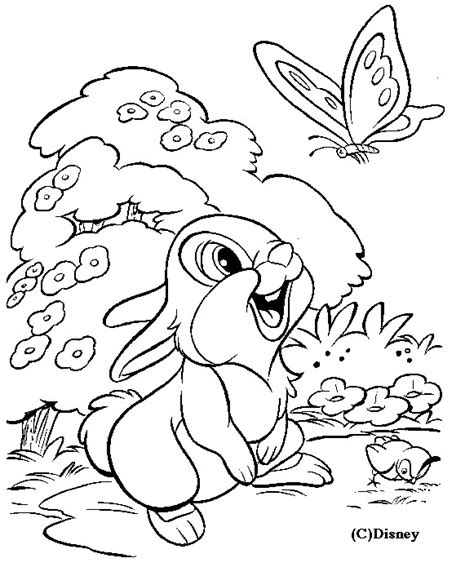 Coloriage Panpan D Couvre Un Papillon Dessin Gratuit Imprimer