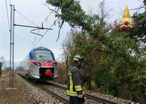 Maltempo Albero Cade Sui Binari Della Linea Venezia Bassano Treni