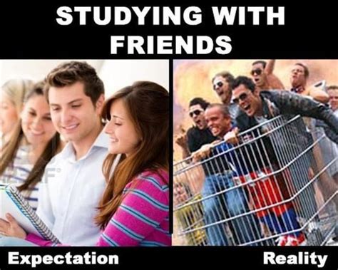 38 Funny Pictures Expectation Vs Reality Funnyfoto Expectation