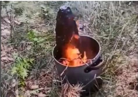 Głośny wybuch w lesie pod Radomiem Podpalili pocisk z okresu II wojny